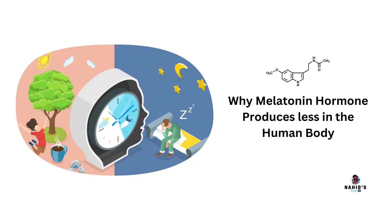 What is melatonin hormone